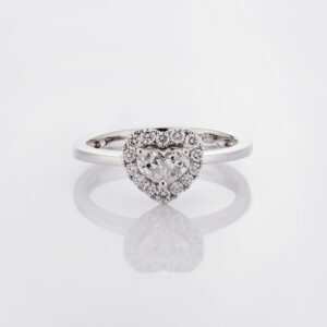 Ring LTAY